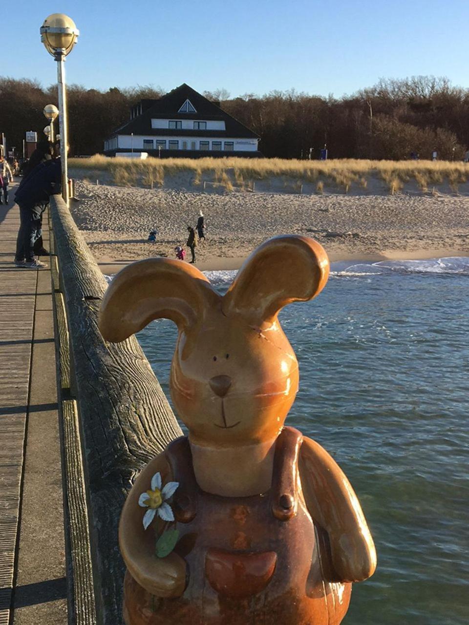 Hotel Ostseewoge กราล-มือริทซ์ ภายนอก รูปภาพ